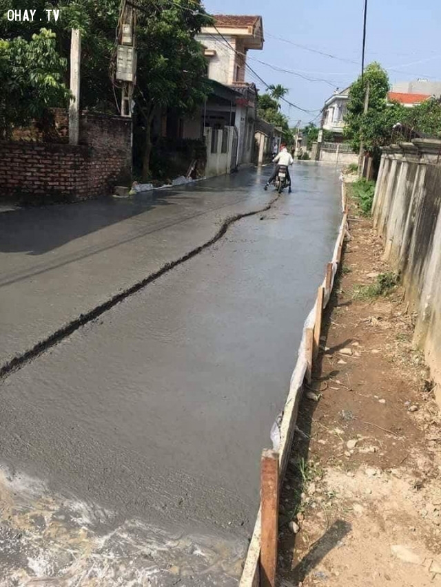 Có lẽ cô ấy là người tạo cảm hứng cho bài 'Cô gái mở đường'