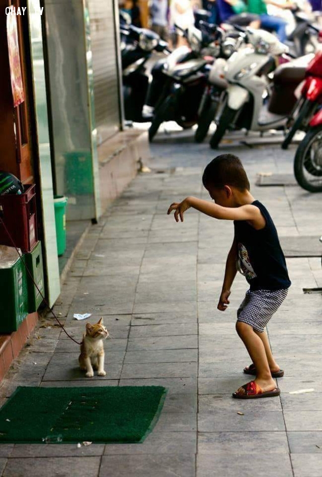 Hiểu ý tao chưa, đấy, cứ thế mà hành động nhé.