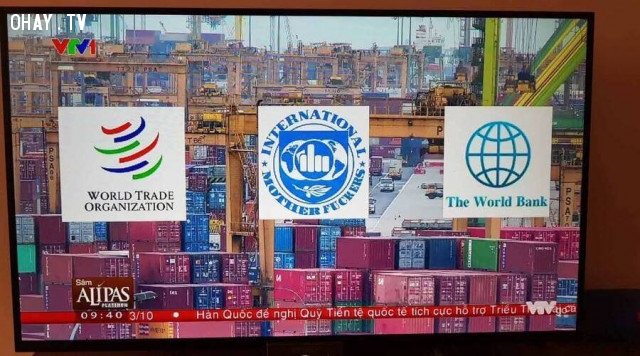 Khi sếp bảo tìm hình IMF