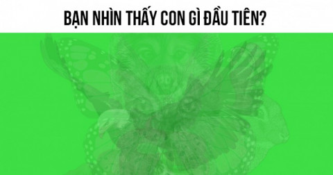 Trắc nghiệm tính cách: Bạn nhìn thấy con gì đầu tiên?