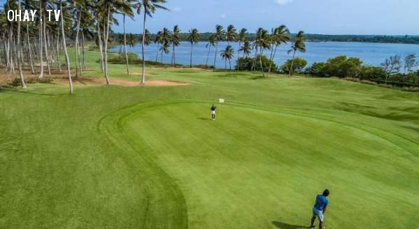 4. Hambantota Golf Resort & Spa, Sri Lanka 4. Hambantota Golf Resort & Spa, Sri Lanka,sân golf,sân golf 18 lỗ,chơi golf