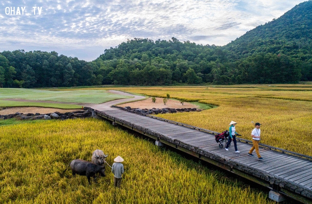 ,nghỉ dưỡng,bất động sản,đầu tư,cao cấp
