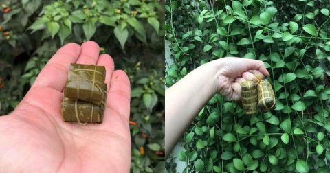 Ăn gì chống béo ngày Tết?