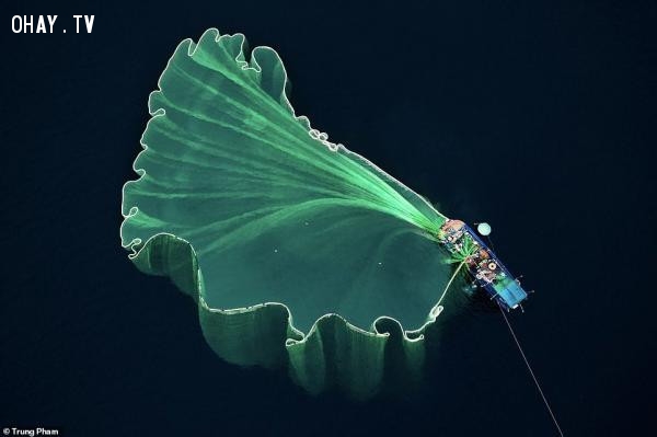 ,nhiếp ảnh,vẻ đẹp,việt nam,flycam,cuộc thi nhiếp ảnh,Dronestagram,ảnh từ trên cao