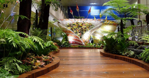 Có gì đặc biệt trong ngôi nhà cao nhất thế giới tại sân bay Changi, Singapore.