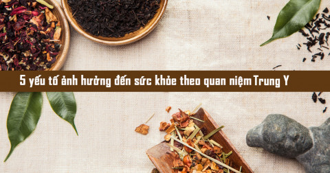 5 yếu tố ảnh hưởng đến sức khỏe theo quan niệm Trung Y