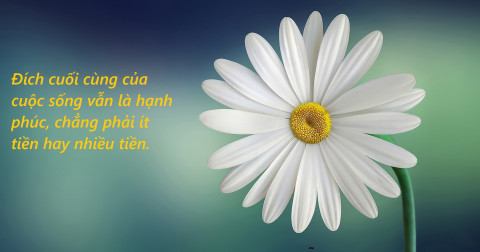 'Tiền nhiều để làm gì'