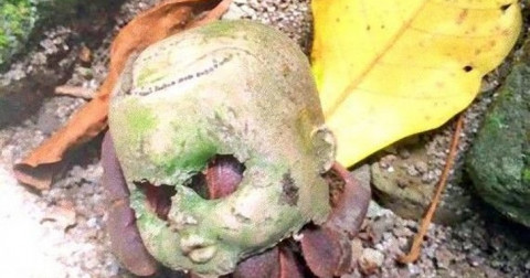 Những bức ảnh về đồ vật thường ngày có thể khiến bạn đứng tim