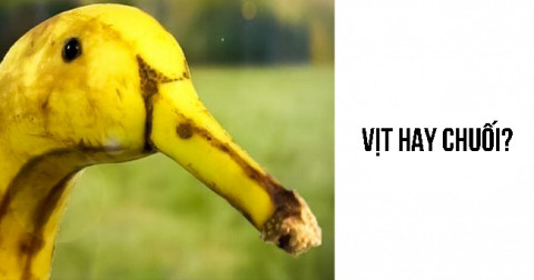 30 bức ảnh khoảnh khắc vô cùng lừa tình