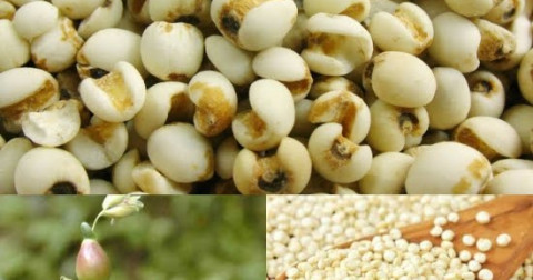 7 món ăn kinh điển thời bao cấp