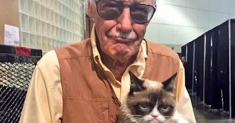Chú mèo với meme huyền thoại: Grumpy cat, đã mất vào thứ 3 vừa rồi