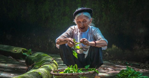 Cơm nắm muối vừng